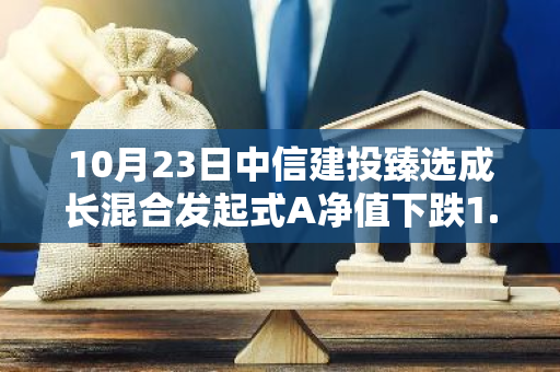 10月23日中信建投臻选成长混合发起式A净值下跌1.04%，今年来累计上涨9.14%