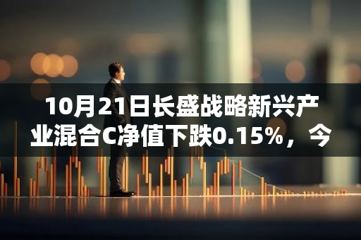 10月21日长盛战略新兴产业混合C净值下跌0.15%，今年来累计下跌3.99%