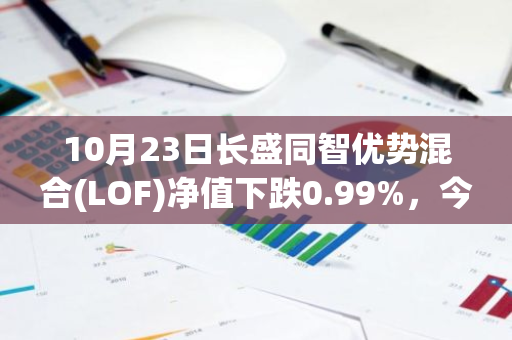 10月23日长盛同智优势混合(LOF)净值下跌0.99%，今年来累计上涨5.99%