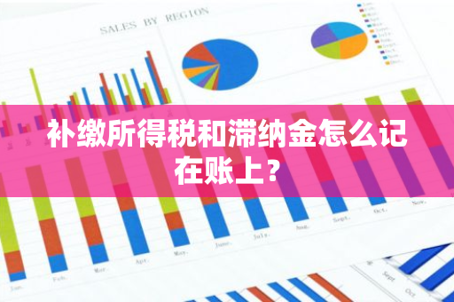 补缴所得税和滞纳金怎么记在账上？