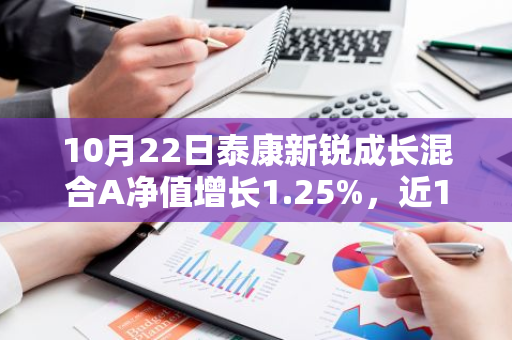 10月22日泰康新锐成长混合A净值增长1.25%，近1个月累计上涨35.68%