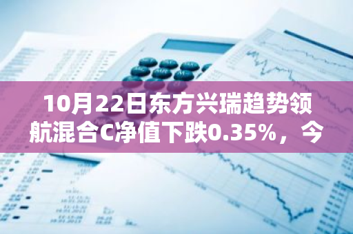 10月22日东方兴瑞趋势领航混合C净值下跌0.35%，今年来累计下跌4.88%