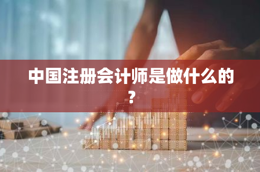 中国注册会计师是做什么的？