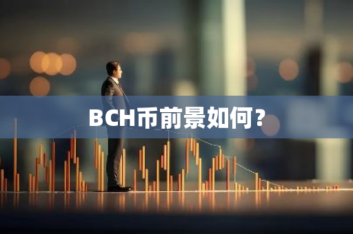 BCH币前景如何？