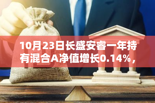 10月23日长盛安睿一年持有混合A净值增长0.14%，近1个月累计上涨6.93%