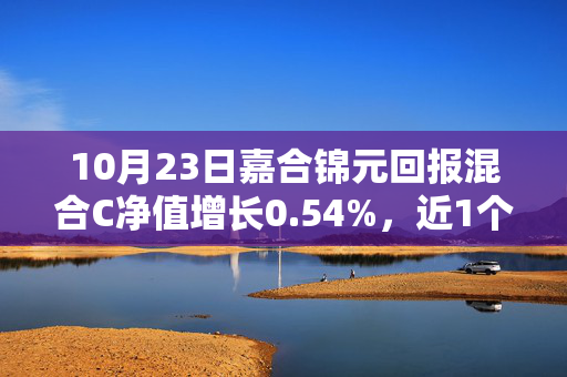 10月23日嘉合锦元回报混合C净值增长0.54%，近1个月累计上涨26.75%