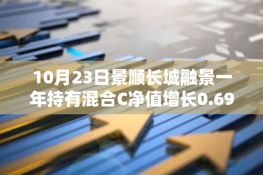 10月23日景顺长城融景一年持有混合C净值增长0.69%，近1个月累计上涨21.35%