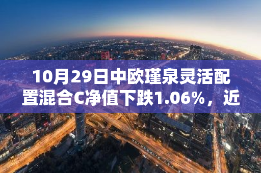 10月29日中欧瑾泉灵活配置混合C净值下跌1.06%，近6个月累计上涨2.07%