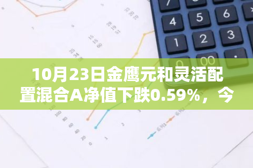 10月23日金鹰元和灵活配置混合A净值下跌0.59%，今年来累计下跌0.16%