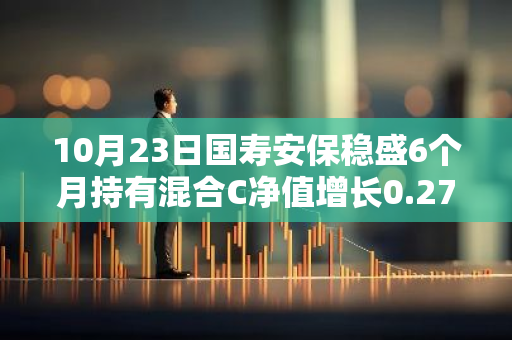 10月23日国寿安保稳盛6个月持有混合C净值增长0.27%，今年来累计上涨10.98%