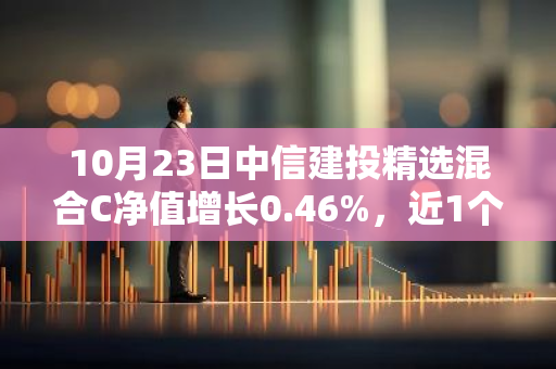 10月23日中信建投精选混合C净值增长0.46%，近1个月累计上涨19.97%