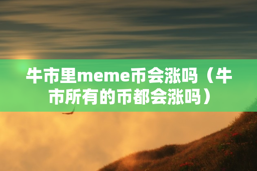 牛市里meme币会涨吗（牛市所有的币都会涨吗）