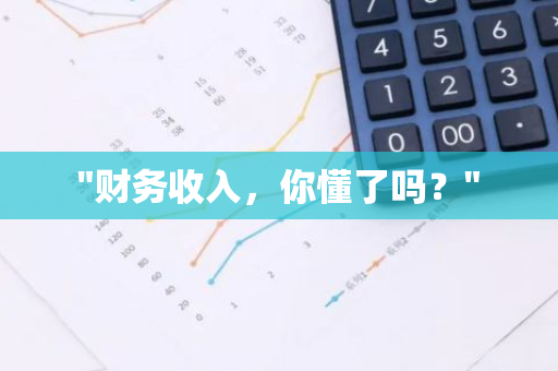 "财务收入，你懂了吗？"