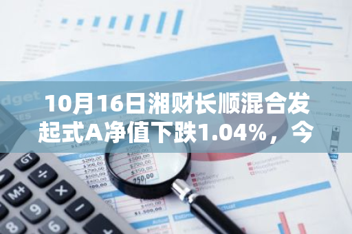 10月16日湘财长顺混合发起式A净值下跌1.04%，今年来累计上涨0.5%