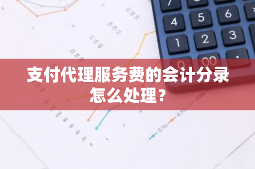 支付代理服务费的会计分录怎么处理？