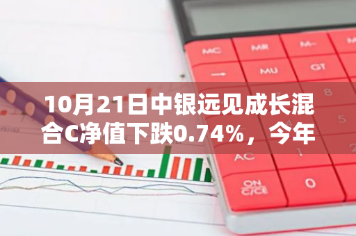 10月21日中银远见成长混合C净值下跌0.74%，今年来累计下跌11.79%