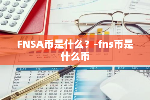 FNSA币是什么？-fns币是什么币