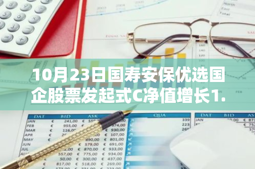 10月23日国寿安保优选国企股票发起式C净值增长1.10%，今年来累计上涨32.17%