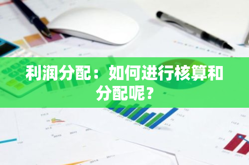 利润分配：如何进行核算和分配呢？