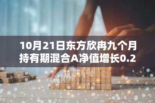 10月21日东方欣冉九个月持有期混合A净值增长0.20%，近1个月累计上涨3.45%