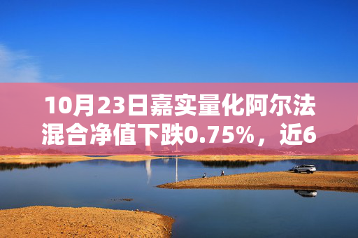 10月23日嘉实量化阿尔法混合净值下跌0.75%，近6个月累计上涨1.27%