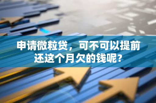 申请微粒贷，可不可以提前还这个月欠的钱呢？