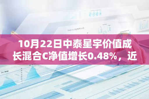 10月22日中泰星宇价值成长混合C净值增长0.48%，近1个月累计上涨28.71%