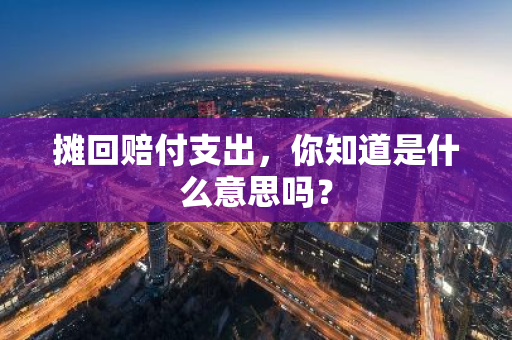 摊回赔付支出，你知道是什么意思吗？