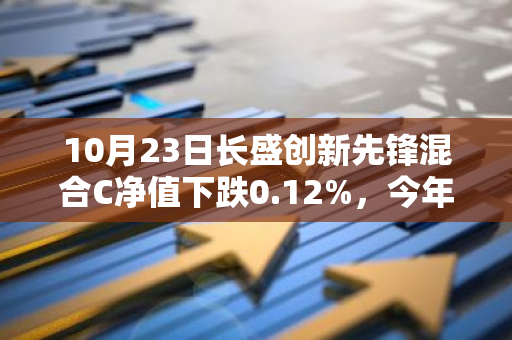 10月23日长盛创新先锋混合C净值下跌0.12%，今年来累计上涨8.38%