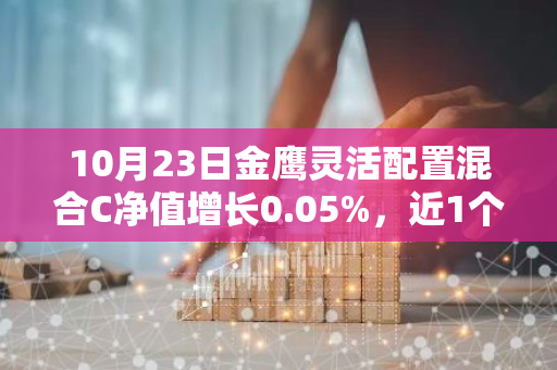 10月23日金鹰灵活配置混合C净值增长0.05%，近1个月累计上涨11.25%