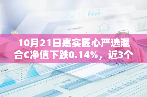 10月21日嘉实匠心严选混合C净值下跌0.14%，近3个月累计上涨22.07%