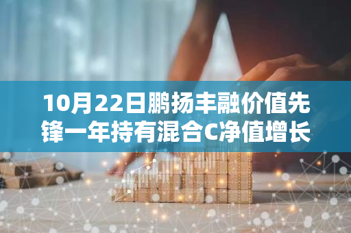 10月22日鹏扬丰融价值先锋一年持有混合C净值增长1.25%，今年来累计上涨15.85%