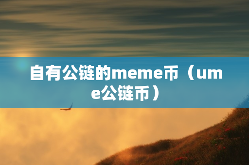 自有公链的meme币（ume公链币）