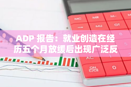 ADP 报告：就业创造在经历五个月放缓后出现广泛反弹