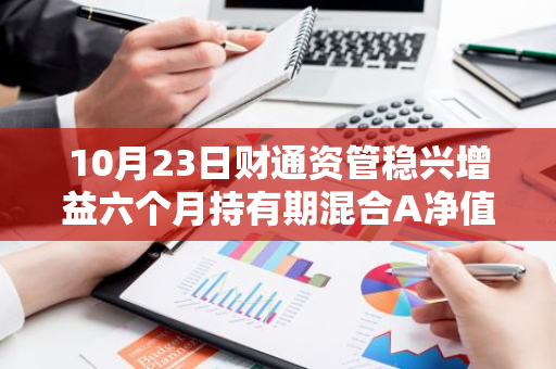 10月23日财通资管稳兴增益六个月持有期混合A净值下跌0.09%，近6个月累计上涨2.08%