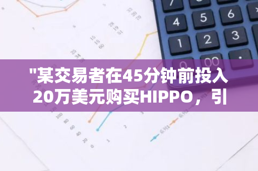 "某交易者在45分钟前投入20万美元购买HIPPO，引发市场关注"