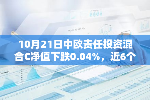 10月21日中欧责任投资混合C净值下跌0.04%，近6个月累计上涨6.25%