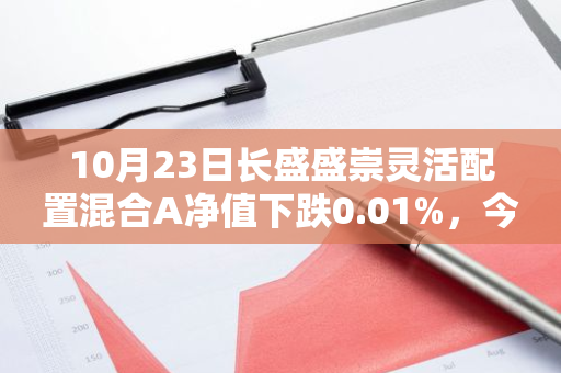 10月23日长盛盛崇灵活配置混合A净值下跌0.01%，今年来累计下跌3.19%