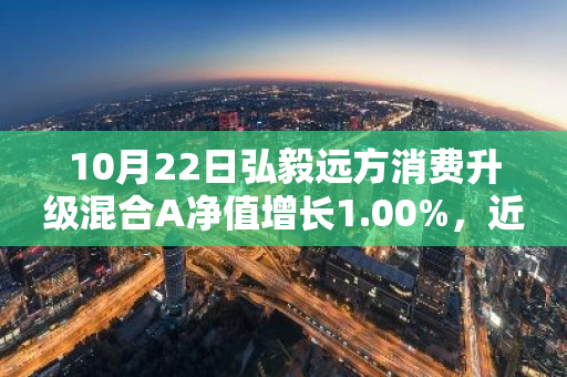 10月22日弘毅远方消费升级混合A净值增长1.00%，近1个月累计上涨21.06%