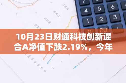 10月23日财通科技创新混合A净值下跌2.19%，今年来累计上涨8.69%