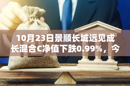 10月23日景顺长城远见成长混合C净值下跌0.99%，今年来累计上涨1.25%