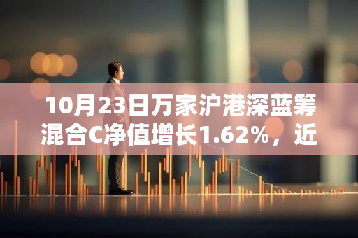 10月23日万家沪港深蓝筹混合C净值增长1.62%，近1个月累计上涨13.78%