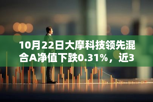 10月22日大摩科技领先混合A净值下跌0.31%，近3个月累计上涨17.21%