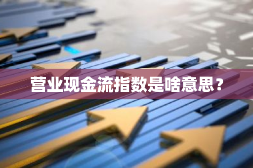 营业现金流指数是啥意思？