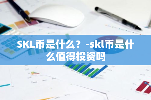 SKL币是什么？-skl币是什么值得投资吗