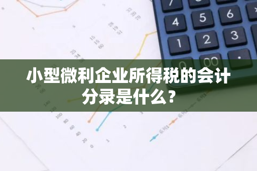 小型微利企业所得税的会计分录是什么？