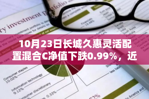 10月23日长城久惠灵活配置混合C净值下跌0.99%，近6个月累计上涨21.34%