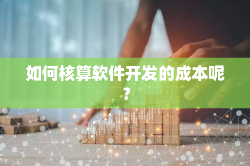 如何核算软件开发的成本呢？