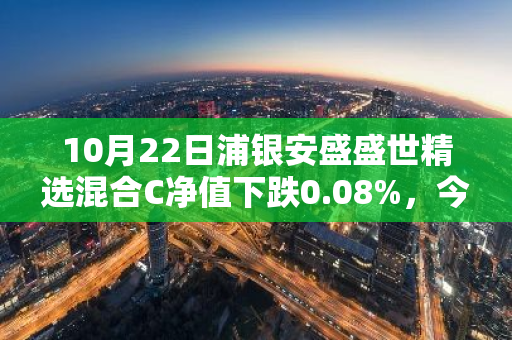 10月22日浦银安盛盛世精选混合C净值下跌0.08%，今年来累计下跌2.36%