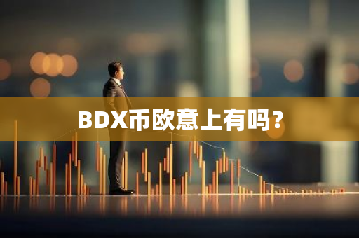 BDX币欧意上有吗？